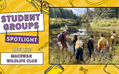 Student Groups Spotlight